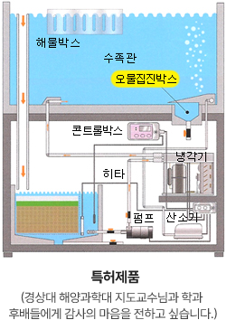 특허제품(경상대 해양과학대 지도교수님과 학과 후배들에게 감사의 마음을 전하고 싶습니다.)