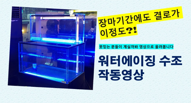 여름철 장마기간에 워터에이징 전용수조를 촬영해보았습니다.